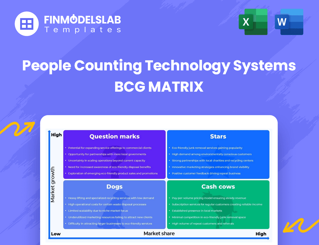 People Counting Technology Systems BCG Matrix
