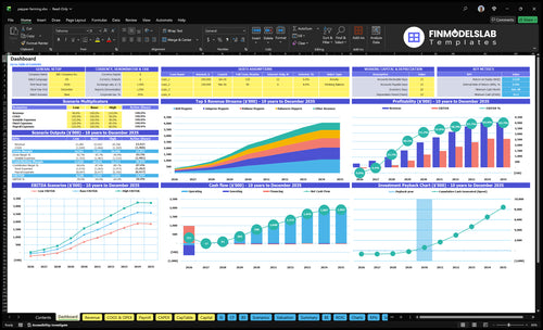Pepper Farming Financial Model dashboard summarizing key KPIs, runway/cash and performance with a dynamic dashboard, investor-ready visuals to spot cash-flow blind spots and growth trends.