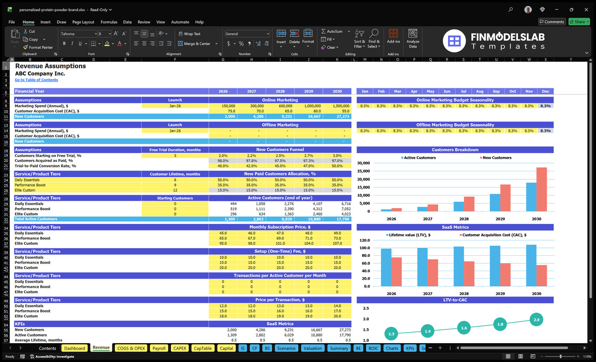 Revenue Establishments of worksheets showing marketing expenditure, CAC, customer funnel, plan mix, subscriber prices, configuration fees, transactions and customer indicators