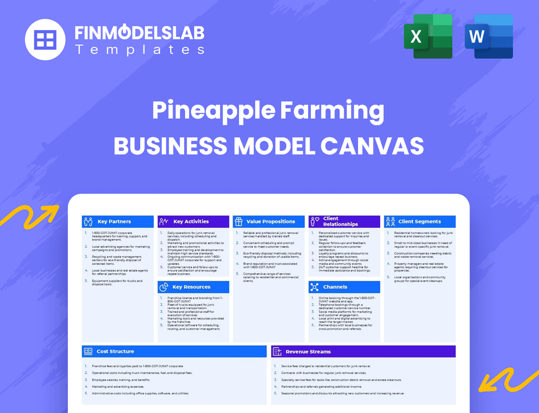 Pineapple Farming Business Model Canvas
