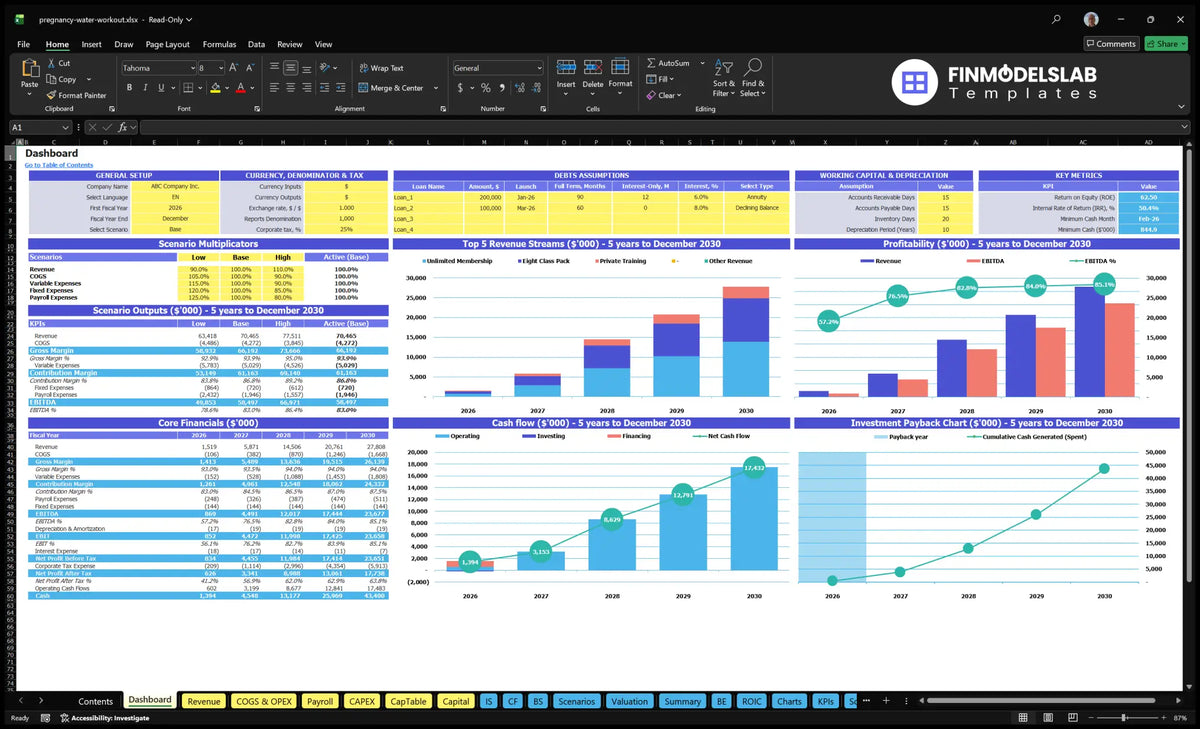 Pregnancy Aqua Fitness Dashboard class with configuration model, scenario multipliers, financial KPIs, revenue mix, profitability, cash flow and return on investment charts