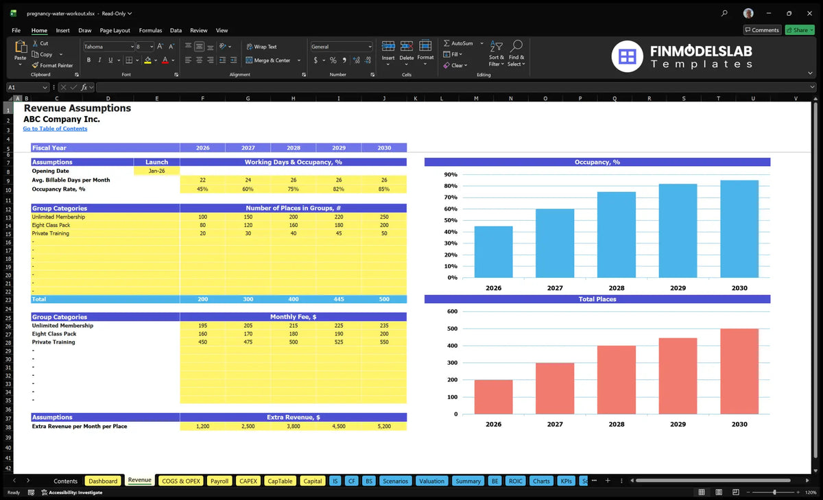 Pregnancy Aqua Fitness Income class Assumptions with opening date, capacity by group, occupancy, monthly fees, additional revenue and forecast charts
