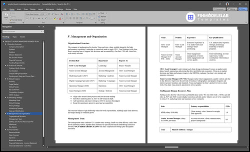 product launch marketing business plan management financialmodelslab