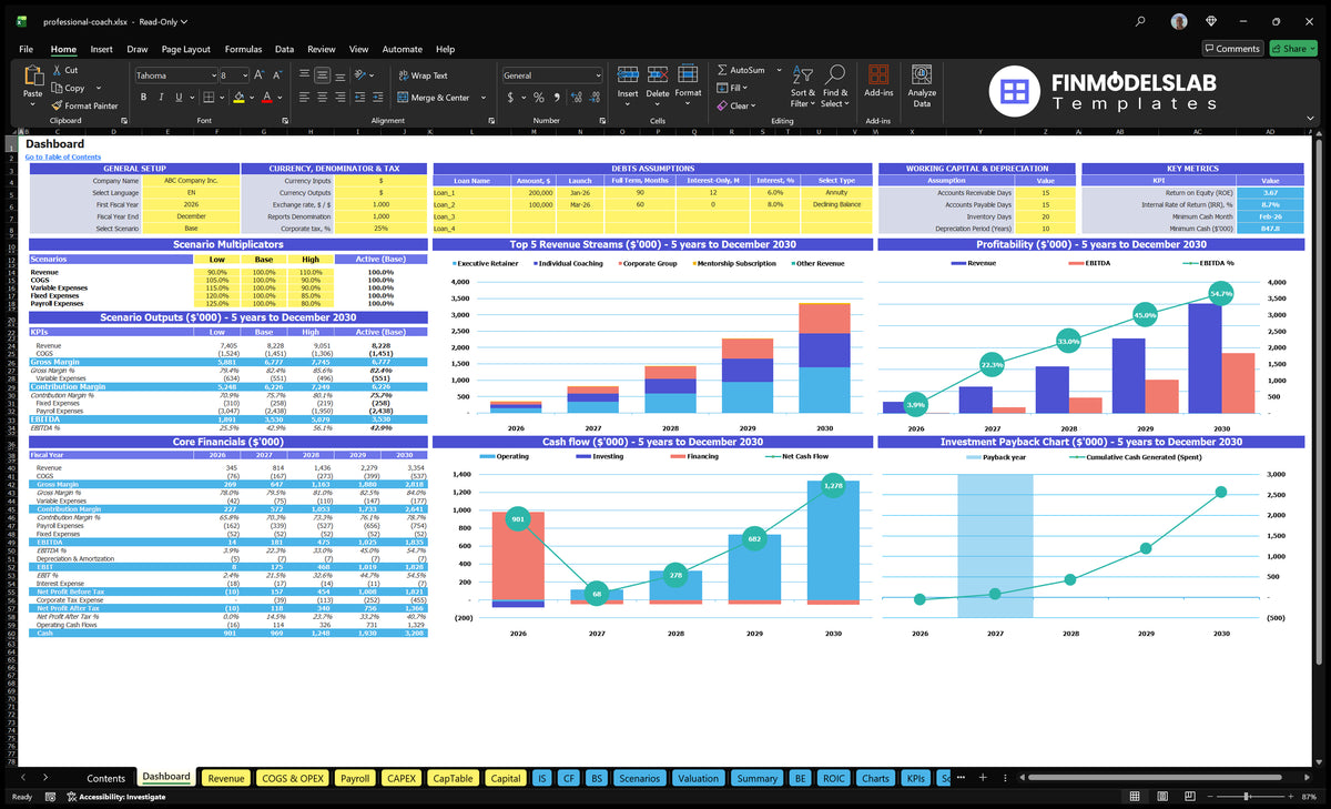 Professional training board with scenario multipliers, basic finance, revenue mix, profitability, cash flow and return on investment charts