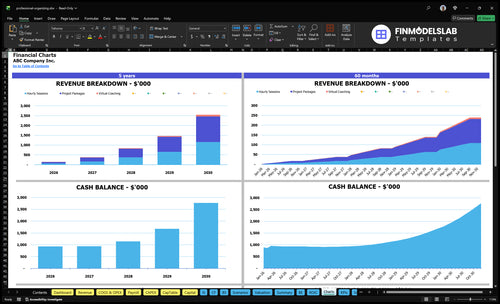 professional organizing financial model charts financialmodelslab