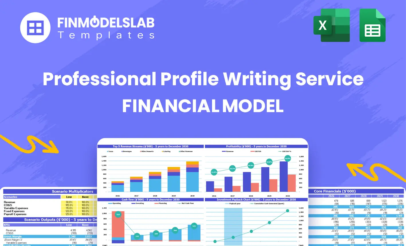 Professional Profile Writing Service 5-Year Financial Model