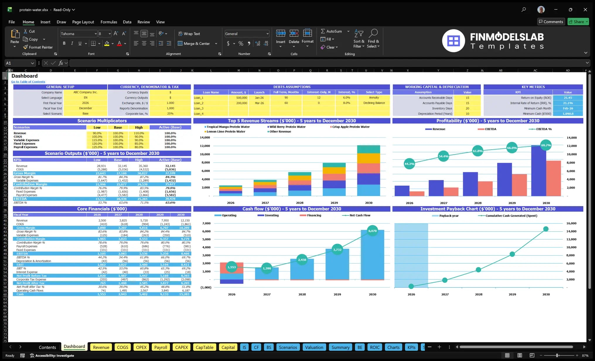 Protein Water Beerage with scenario control, basic finance, income mix, profitability, cash flow, funding assumptions and key indicators.