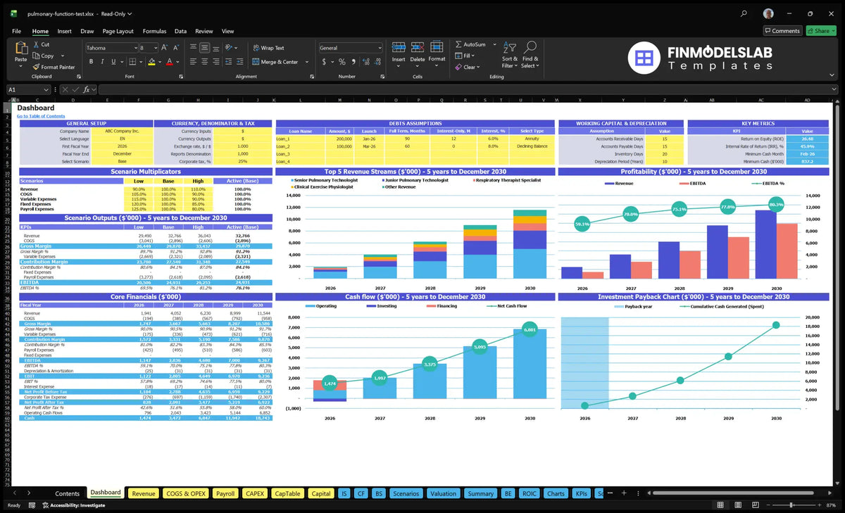 Worksheet of the navigation desktop showing model settings, scenario control, revenue mix, profitability, basic finances, cash flow, key metrics and return charts