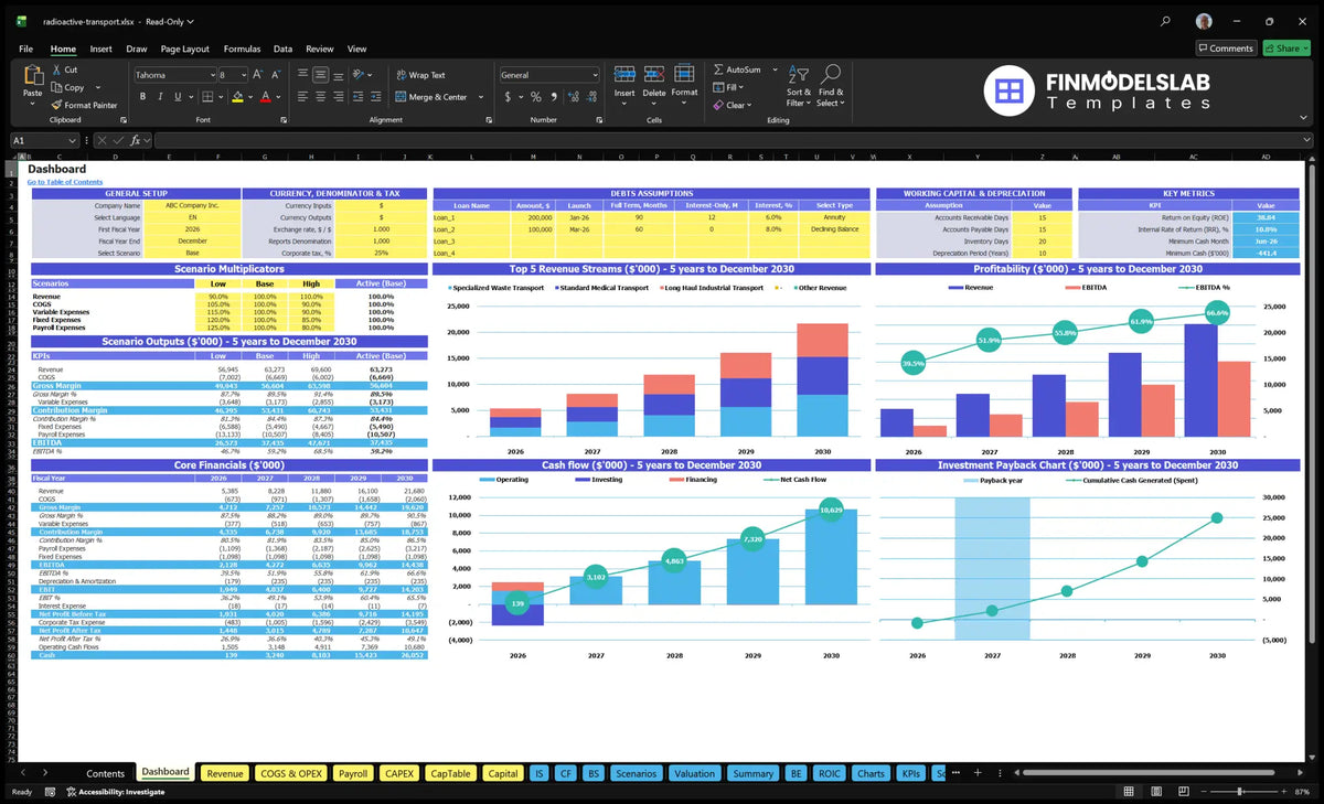 Table with general positions, multipliers of scenarios, debt assumptions, working capital, key indicators, income, profitability, cash flow and return charts