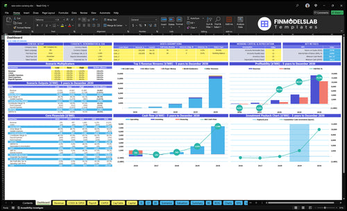 Rare Coins and Currency Financial Model dashboard summarizing key KPIs, runway/cash and performance with a dynamic dashboard, investor-ready charts to reveal cash-flow blind spots and trends