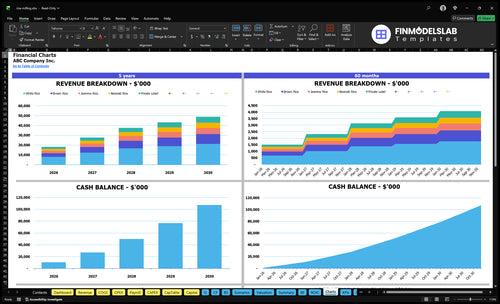 rice milling financial model charts financialmodelslab