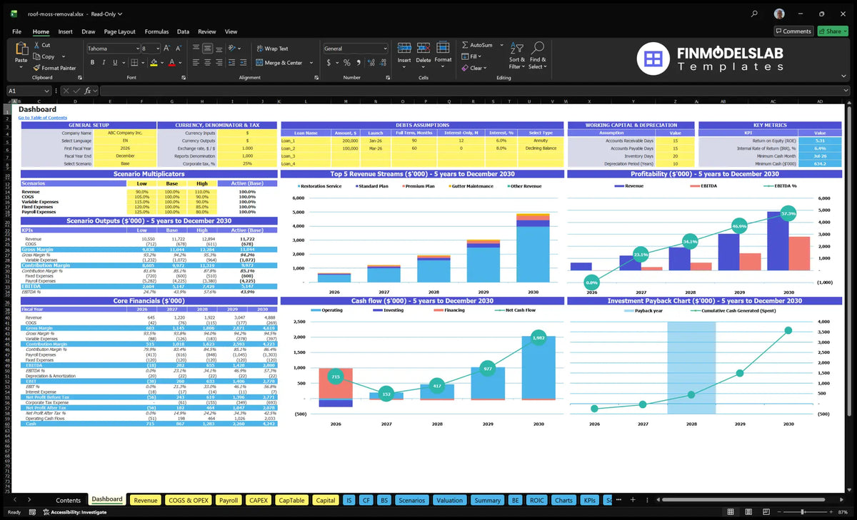 Worksheet available for the financial model of the roof brush removal service showing scenario multipliers, revenue mix, profitability, cash flow, return and basic financial metrics