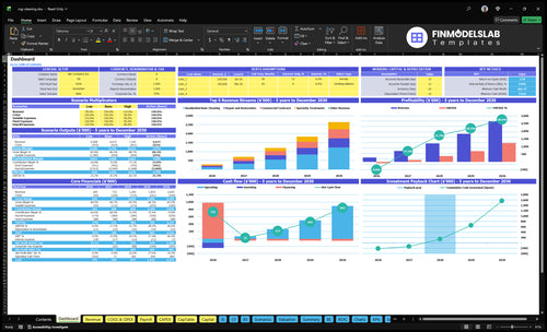 rug cleaning financial model dashboard financialmodelslab