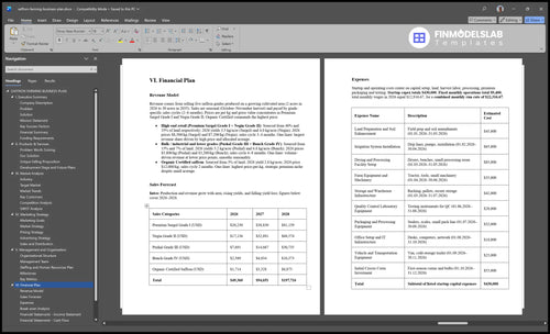 saffron farming business plan financial plan financialmodelslab