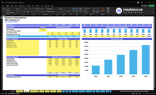 salt cave therapy center financial model revenue financialmodelslab