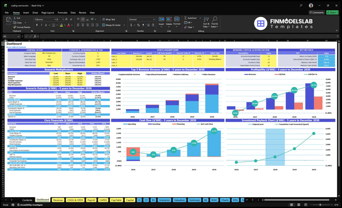Dashboard with model setting, scenario and outcome multipliers, mix of revenue, profitability, cash flow, return, basic financial data and key indicators