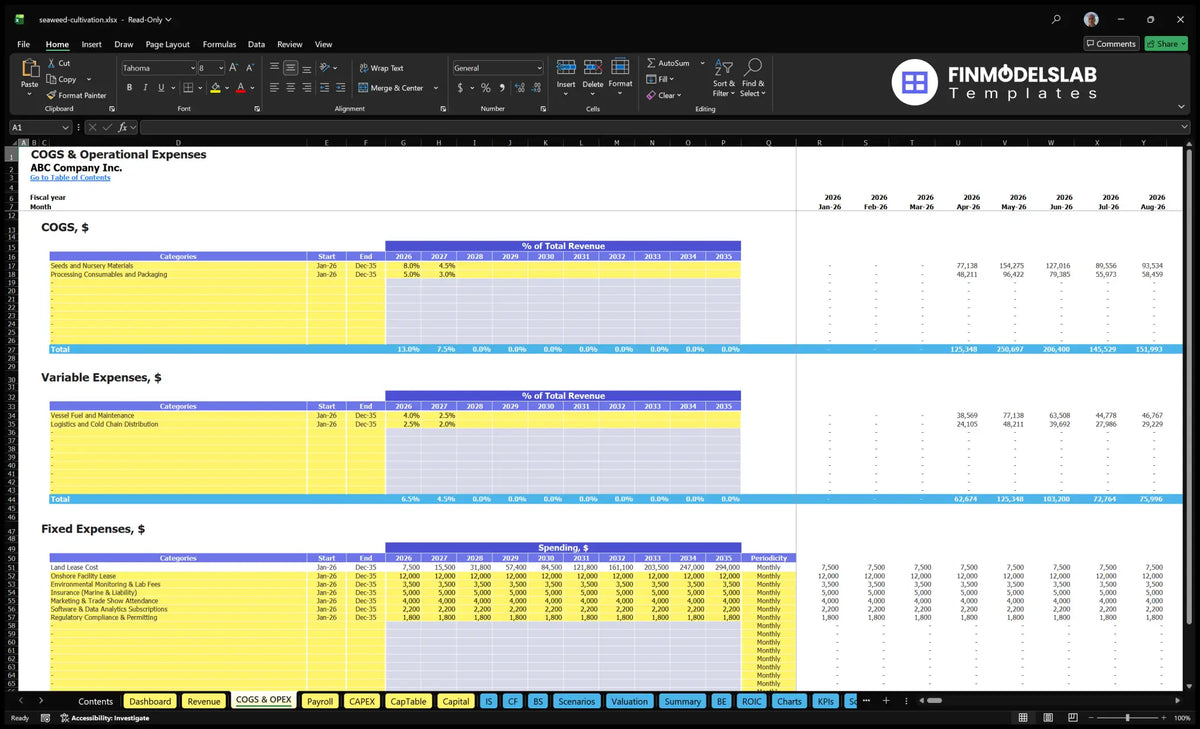 COGS and OPEX spreadsheet on direct costs, variable costs, fixed costs, time and monthly calculations