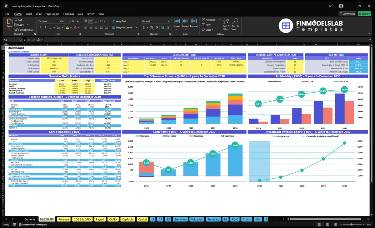 The table calculation sheet showing the model setting, the multiple scenarios, the underlying financial data, the revenue mix, profitability, cash flow and return graphs