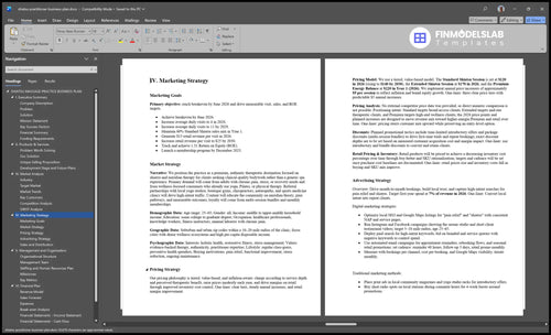 shiatsu practitioner business plan marketing plan financialmodelslab