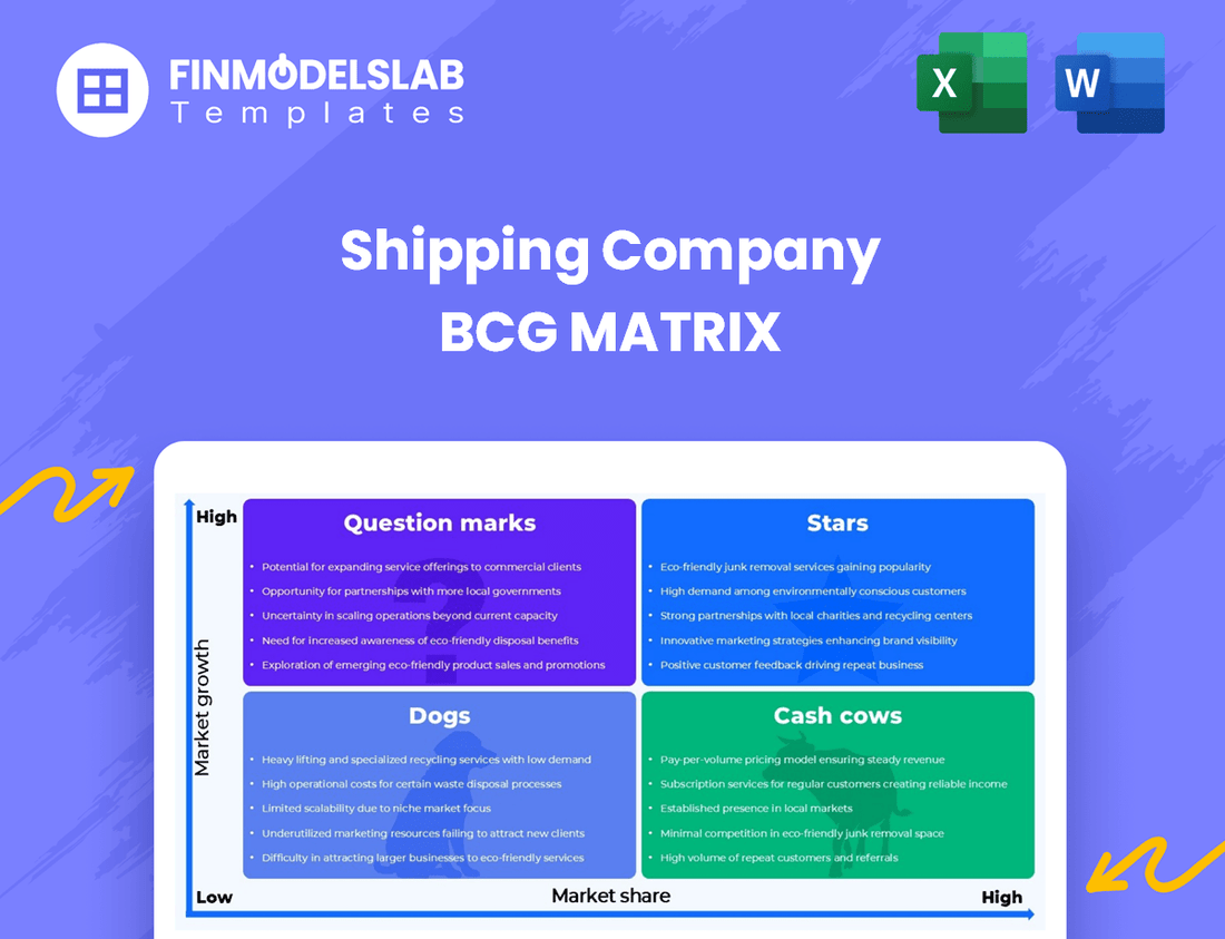 Shipping Company BCG Matrix