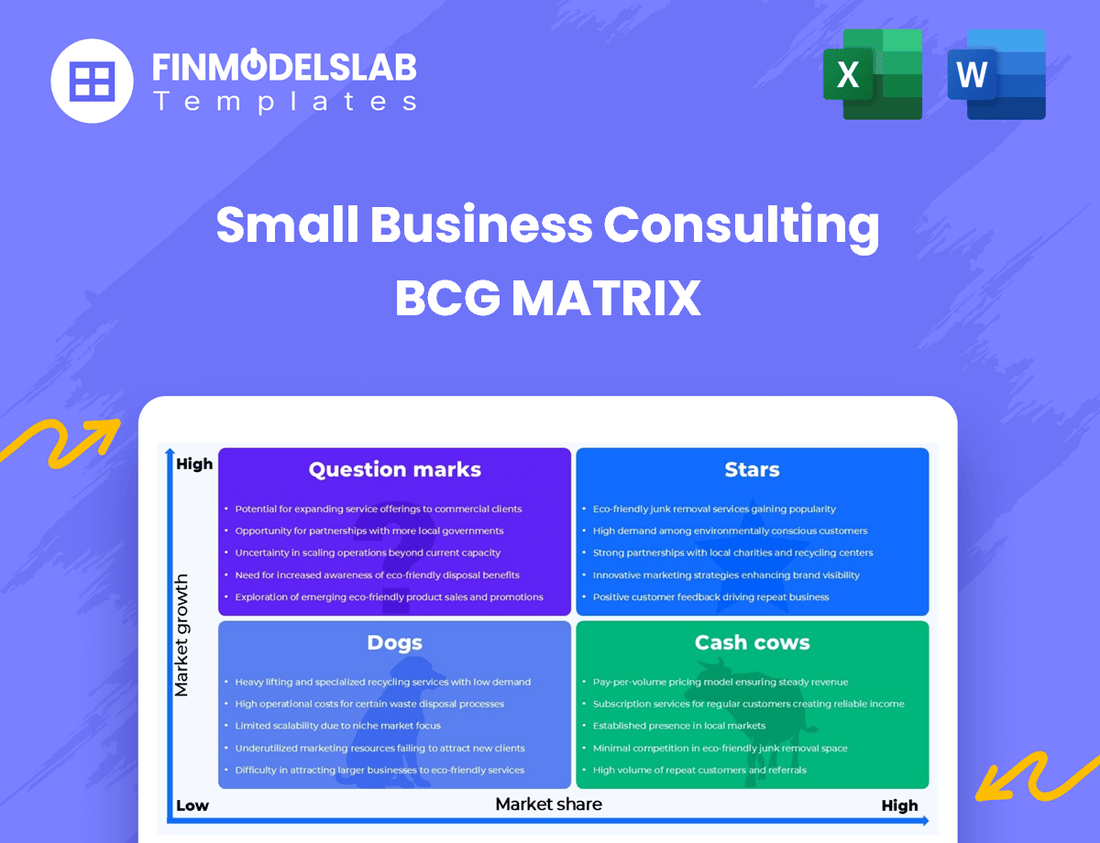 Small Business Consulting BCG Matrix