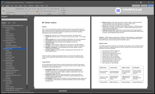 small cargo van delivery business plan marketing analysis financialmodelslab