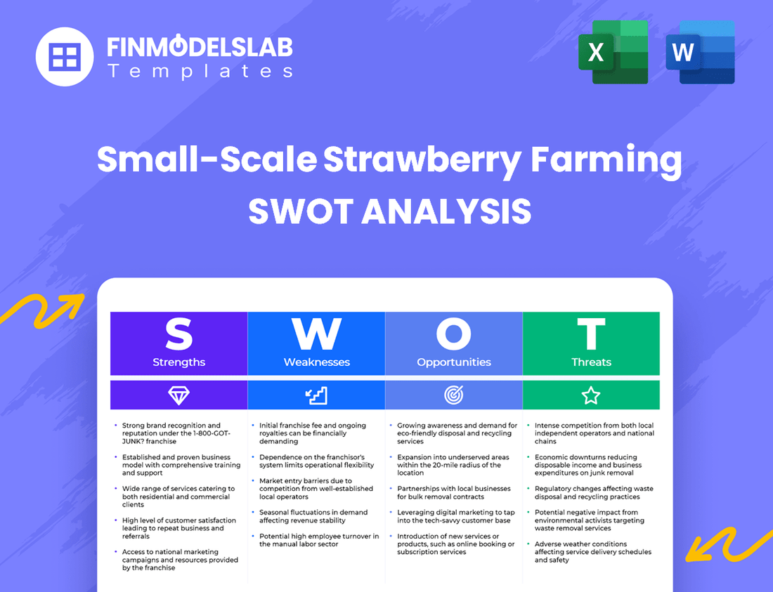 Small-Scale Strawberry Farming Business SWOT Analysis