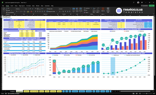 small scale vegetable farming financial model dashboard financialmodelslab