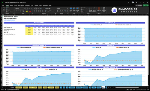 small scale vegetable farming financial model kpis financialmodelslab