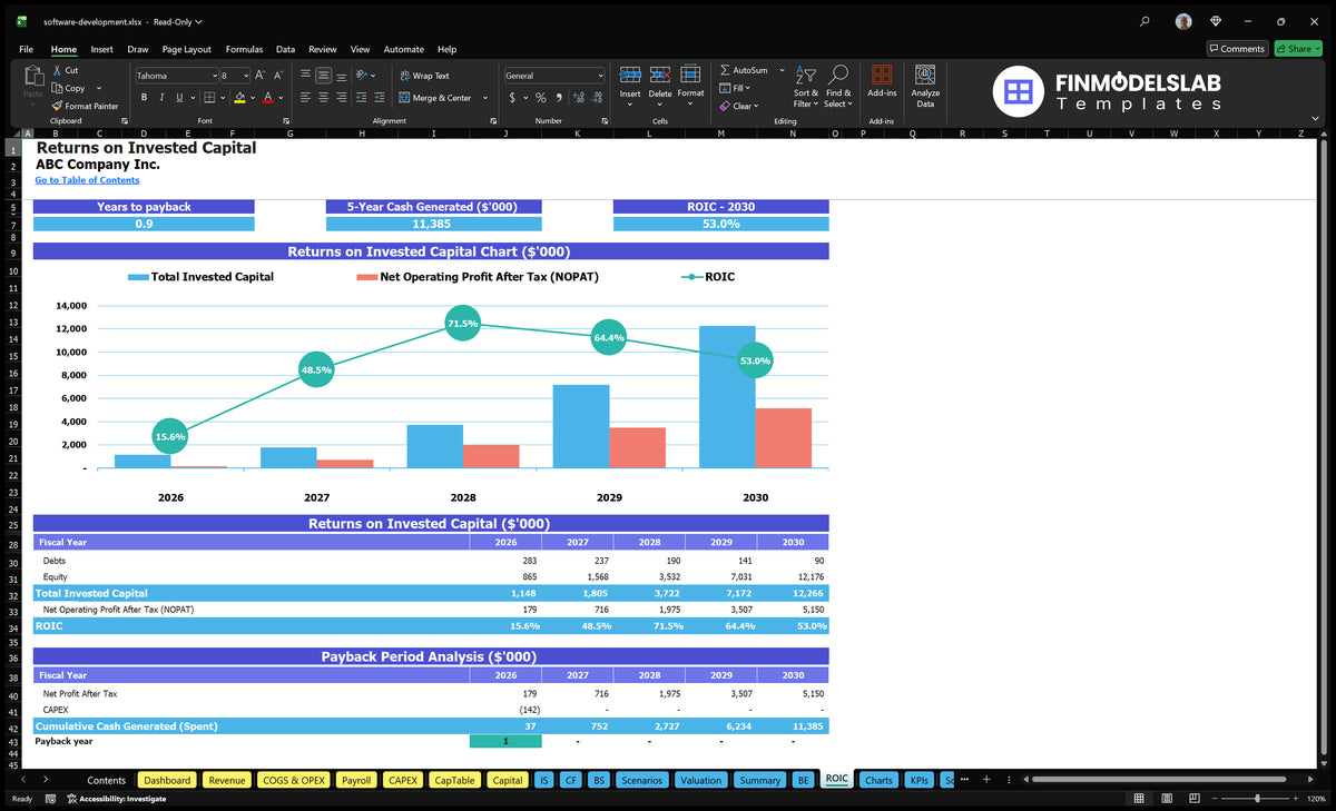 Editable Software Development Financial Model