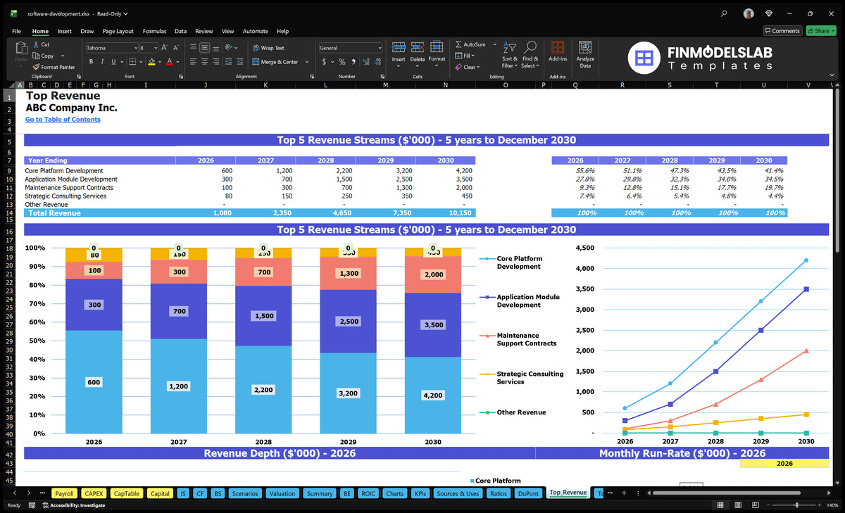 Software Development Financial Model 5-Year Projections IRR 22%