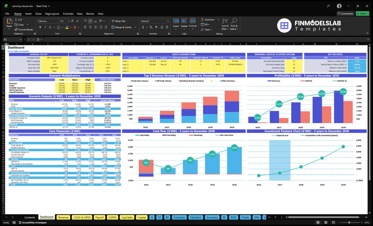 Globally configured table, scenario multipliers, key metrics, basic finance, revenue mix, profitability, cash flow and return charts