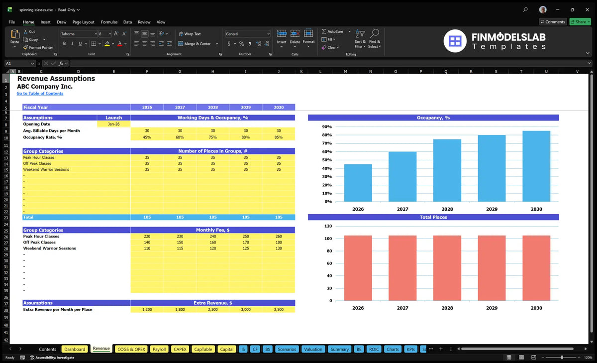 Revenue Establishments of a worksheet with a launch date, use, group capacity, monthly fees and additional revenue contributions