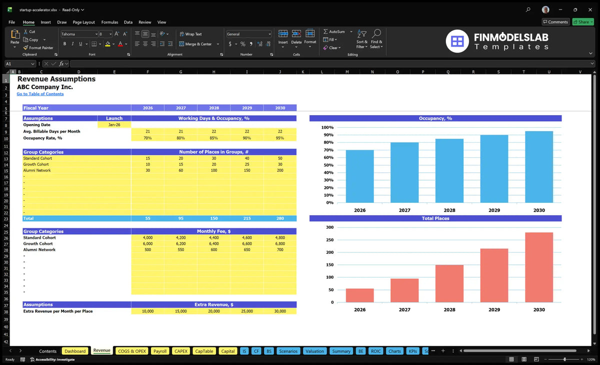 Revenue sheet showing the date of the start-up accelerator opening, place of residence, group places, monthly fees, additional revenue and capacity charts