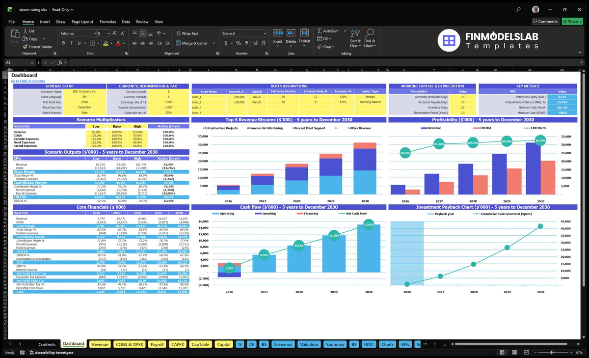 Worksheet of the navigation desktop showing control of the steam curing service configuration, scenario multipliers, KPIs, basic finances, revenue mix, profitability, cash flow and return charts