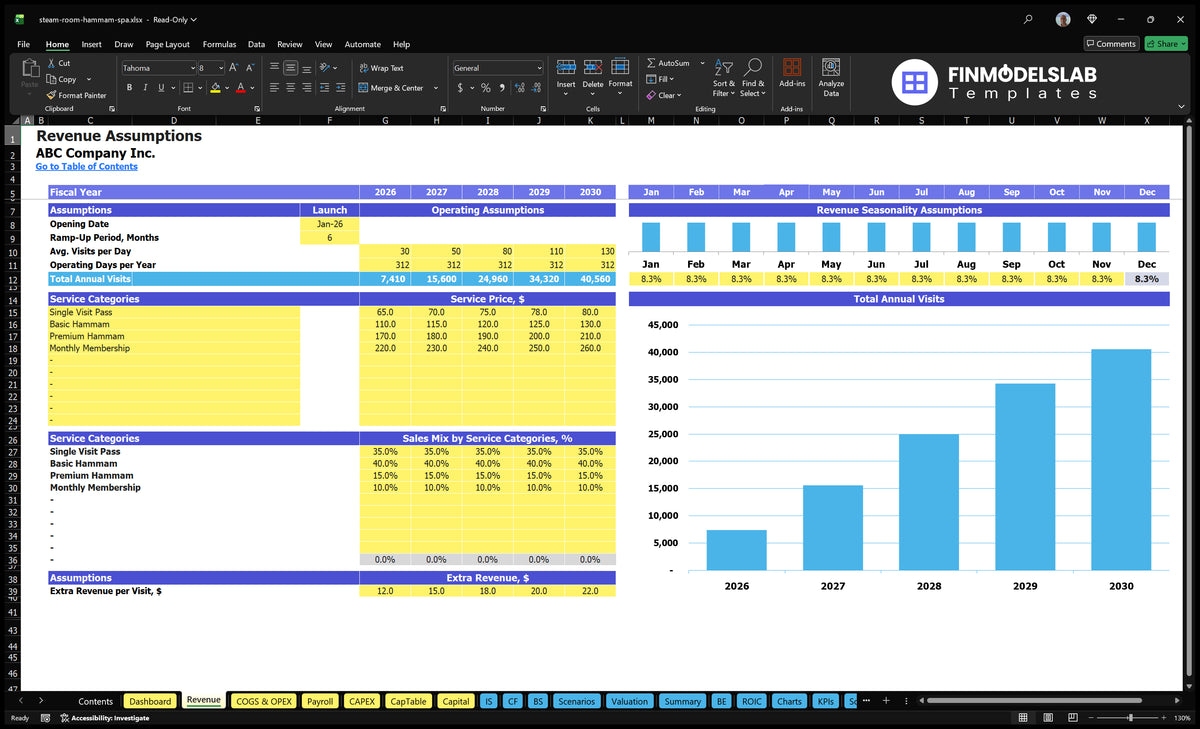Revenue Establishments of worksheets showing the size of the visit, working days, seasonality, service prices, service mix and additional revenue