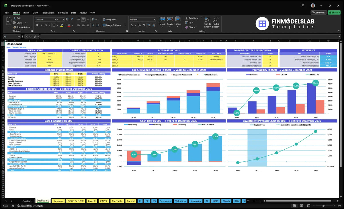 Dashboard showing model settings, scenario controls, KPIs, financial tables, revenue mix, cash flow, profitability and return charts
