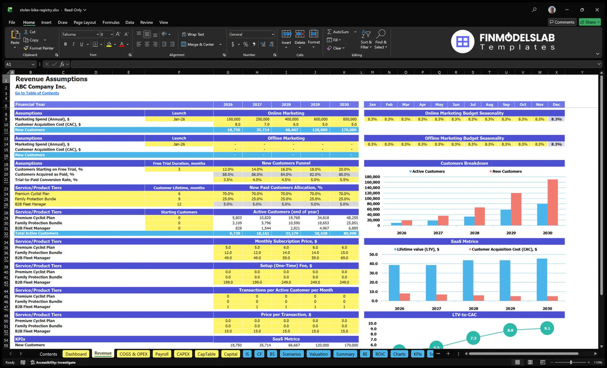Revenue Establishments of worksheets showing marketing budgets, CAC, trial conversion, customer plan combination, subscriber life, subscription price, configuration fees, usage prices and active customer indicators
