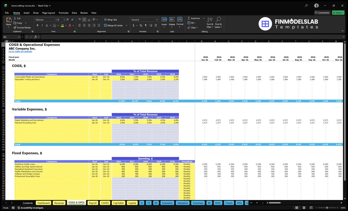 Rate of setting of the jeweller stones COGS and the operating expenditure sheet with direct costs, variable expenditure, fixed expenditure, schedule and monthly forecasts