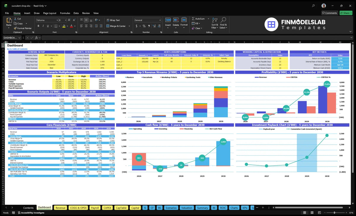 Dashboard showing configuration controls, scenario multipliers, KPIs, revenue mix, basic finances, cash flow, profitability and return charts