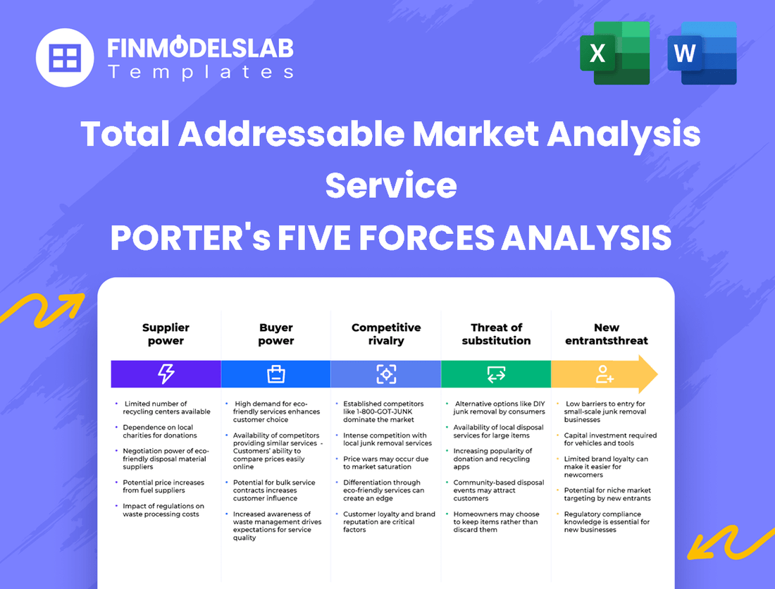 Total Addressable Market Analysis Service Porter