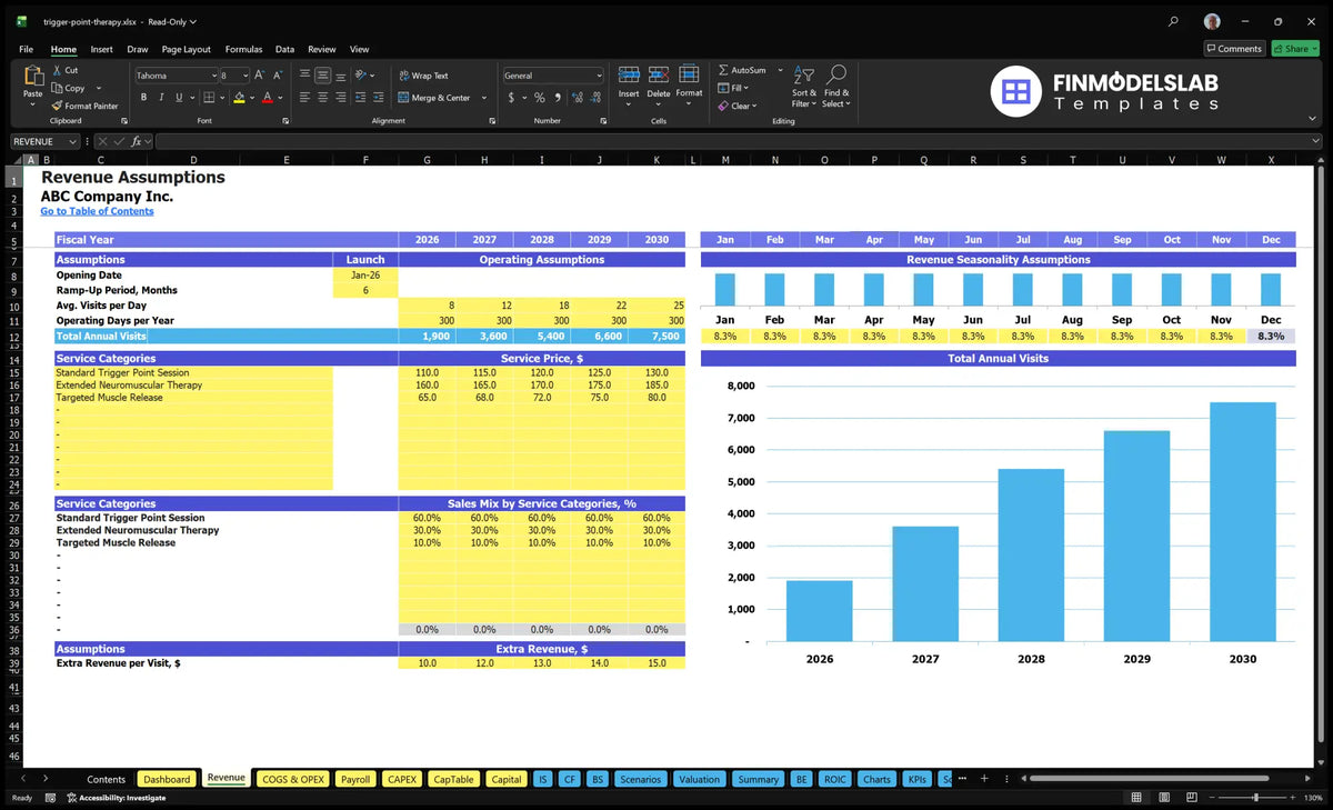 Revenue Establishments of worksheets showing the start time, average visits per day, working days, monthly seasonality, service prices, service combination and additional revenue for the visit.