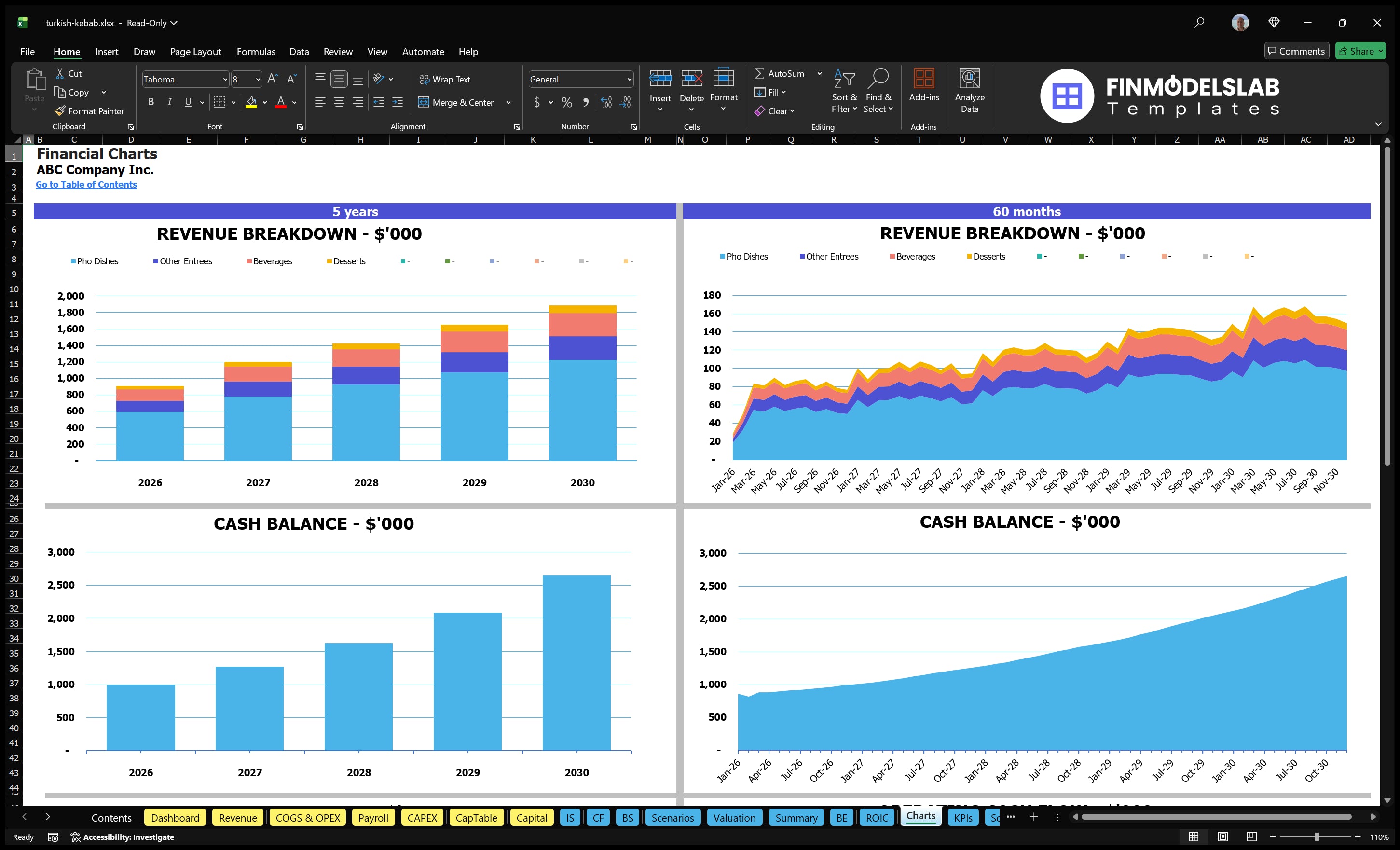 turkish kebab financial model charts financialmodelslab