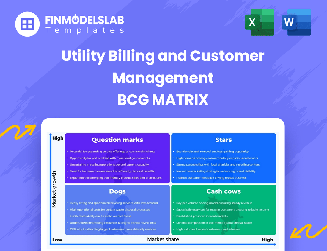 Utility Billing and Customer Management BCG Matrix