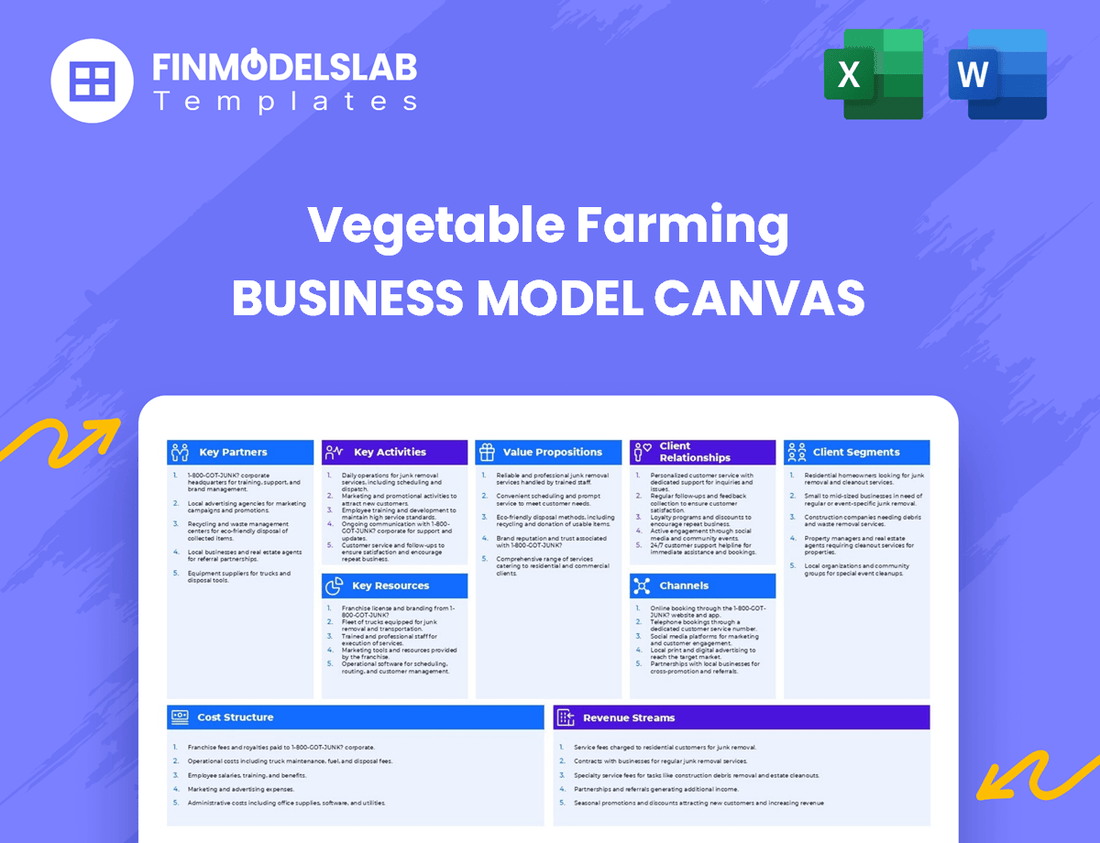 Vegetable Farming Business Model Canvas