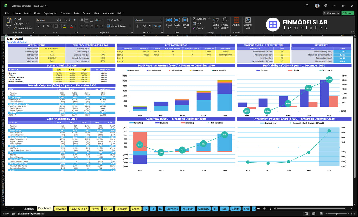 Navigational desktop of veterinary clinics showing configuration checks, scenario results, revenue mix, profitability, cash flow, key indicators and return charts