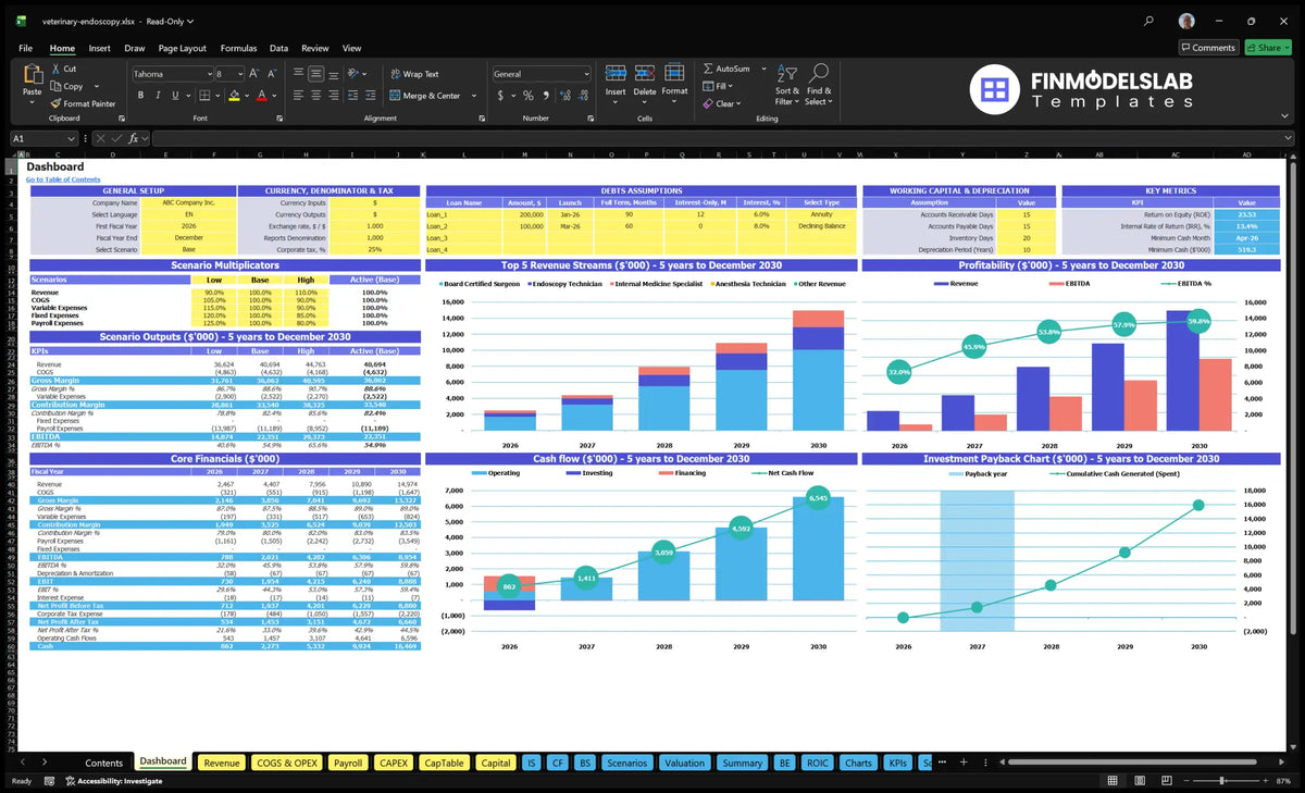 Veterinary Endoscopy Service Financial Model Dashboard showing multipliers scenarios, key metrics, top revenue streams, profitability, basic finances, cash flow and return on investment.