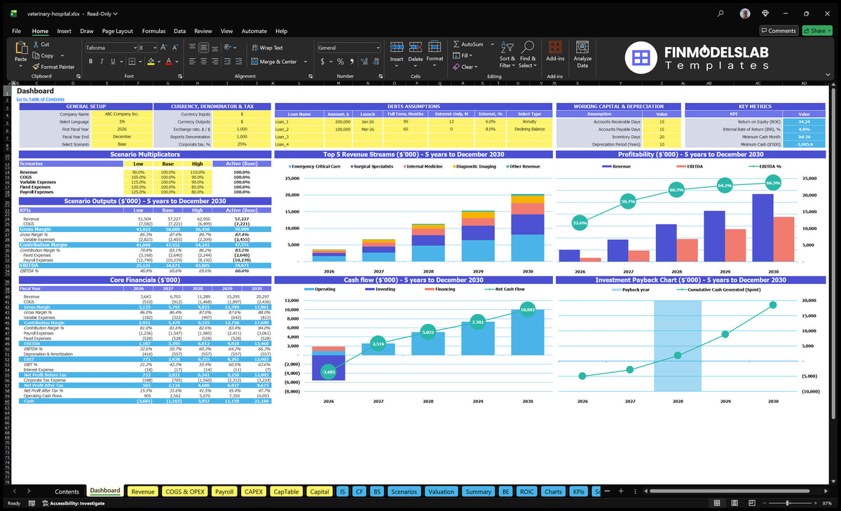 A navigational desktop at the disposal of the financial model of the veterinary hospital showing configuration checks, multiple scenarios, basic financial results, mix of revenues from services, profitability, cash flow and return charts.