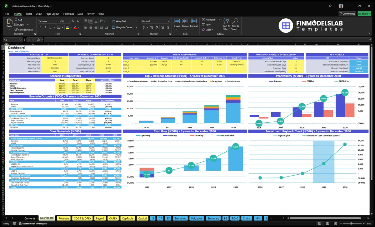 Table showing general settings, scenario multipliers, key indicators, basic financial data, revenue streams, profitability, cash flow and return on investment charts