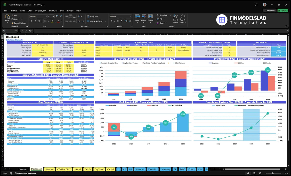 Template input board for site configuration, scenario multipliers, KPIs, main finances, revenue mix, cash flow and return charts